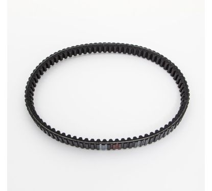 Courroie de transmission Premium