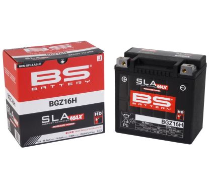 Batterie AGM SLA MAX Factory-Activated sans entretien