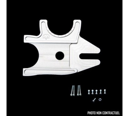 Platine Double - ZX6R 636 05-06