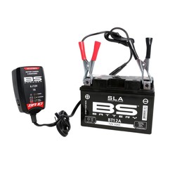 Chargeur de Batterie 6/12V 1A BA10