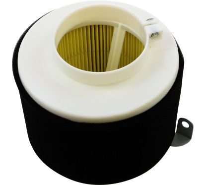 Filtre à air de rechange