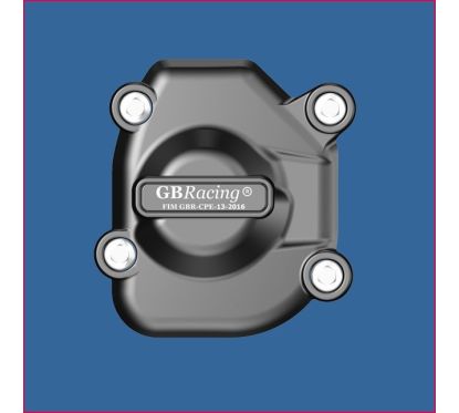 Protection allumage GB RACING - KAWASAKI Z 800 2013