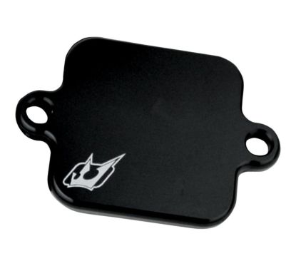 Plaques de suppression du système Antipollution - KAWASAKI - Ninja 300 13-15