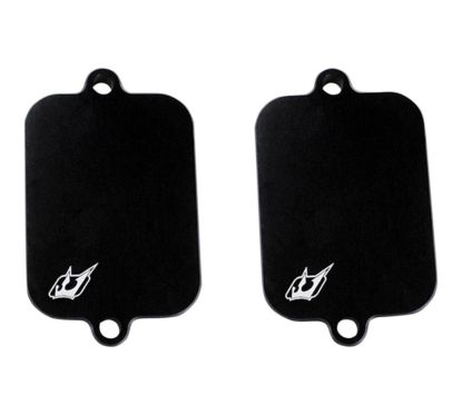 Plaques de suppression du système Antipollution - KAWASAKI - ZX-12R 00-05