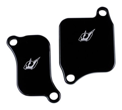 Plaques de suppression du système Antipollution - TRIUMPH - 675 Street Triple 07-15