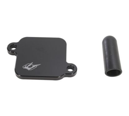 Plaques de suppression du système Antipollution - YAMAHA - YZF R3 15