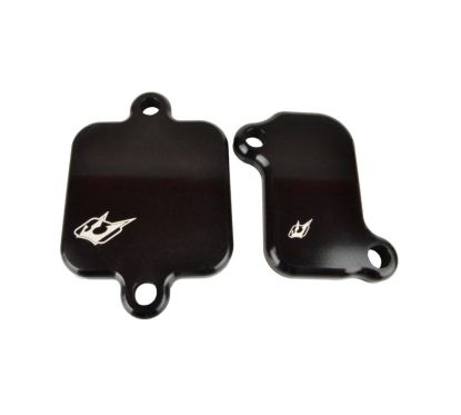 Plaques de suppression du système Antipollution - YAMAHA - MT-09 14-15