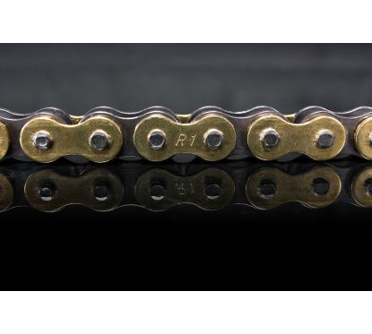 Chaîne de transmission 520 R1