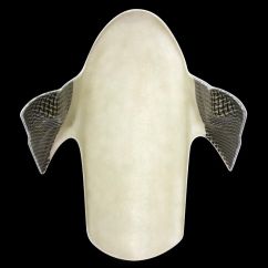 Carénage poly racing complet fibre de verre Panigale V4 2018