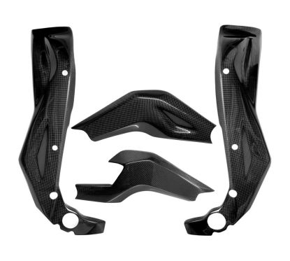 Protections de cadre et bras oscillant carbone RSV1000 2004-2009
