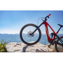 DISC WAVE FLOAT 203X2.0MM RED