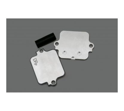 PLAQUES DE SUPPRESSION DU SYSTEME ANTIPOLLUTION - SUZUKI HAYABUSA 1999-2008