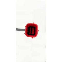 Câble OBDII DRP pour prise diagnostique rouge 6 broches