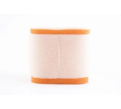 Filtre à air TWIN AIR - 152502