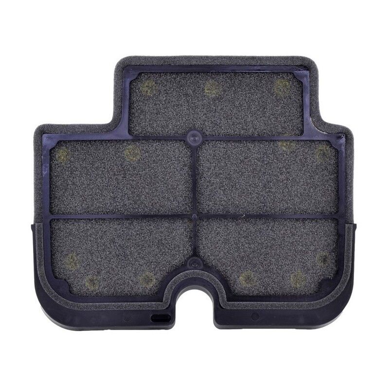 Filtre à air TECNIUM - 110290011