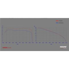 Pot d'échappement YASUNI Scooter 4