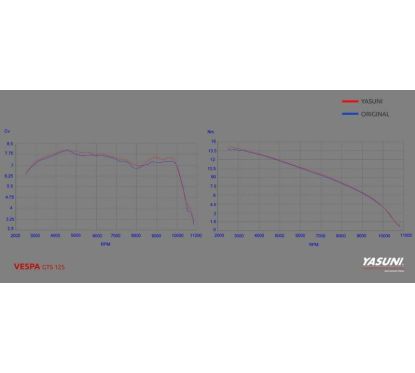 Pot d'échappement YASUNI Scooter 4