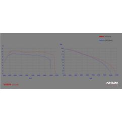 Pot d'échappement YASUNI Scooter 4