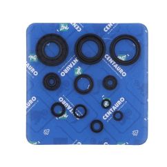 Jeu de joints spi CENTAURO