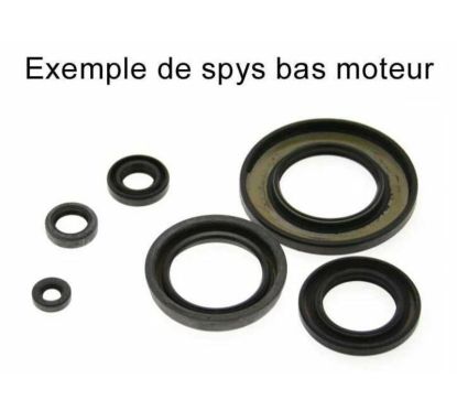 Jeu de joints spi CENTAURO