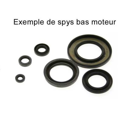 Jeu de joints spi CENTAURO