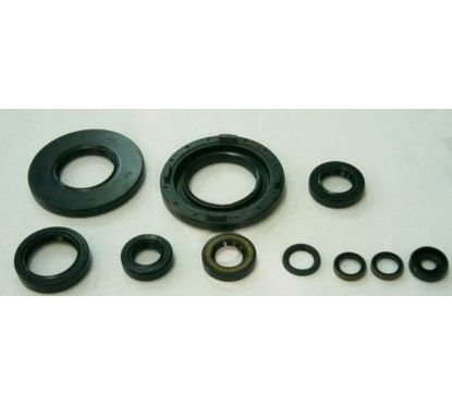 Jeu de joints spi moteur TOURMAX