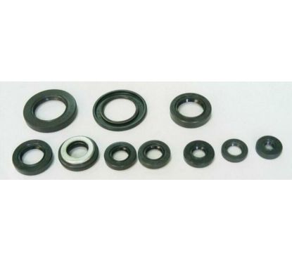 Jeu de joints spi moteur TOURMAX