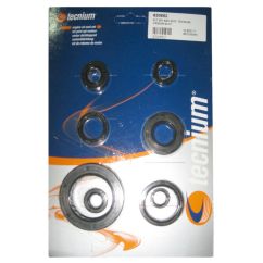 Jeu de joints spi moteur TECNIUM