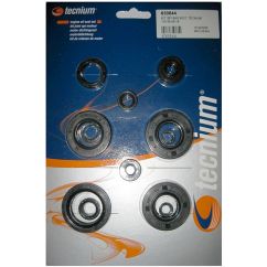 Jeu de joints spi moteur TECNIUM