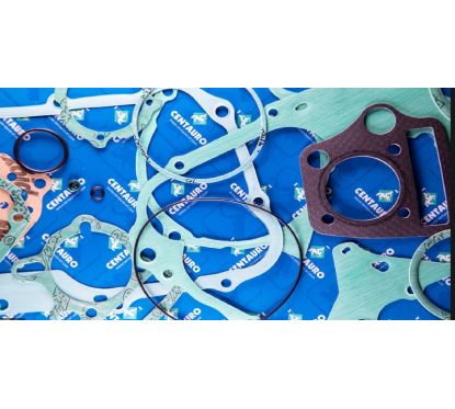 Joint de carter d'allumage CENTAURO