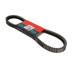 Courroie de transmission DAYCO standard