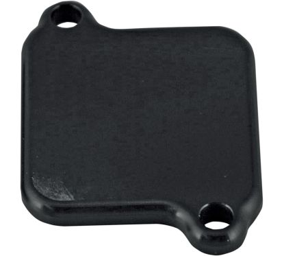 Plaque de Suppression d’Injection d’Air