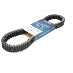 Courroie dentée intérieur et extérieur DAYCO Renforcé