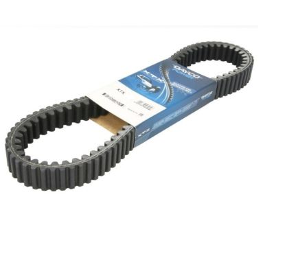 Courroie dentée intérieur et extérieur DAYCO Renforcé