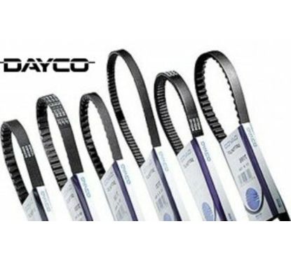 Courroie de distribution  DAYCO 