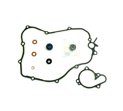 Joint de couvercle de pompe à eau CENTAURO