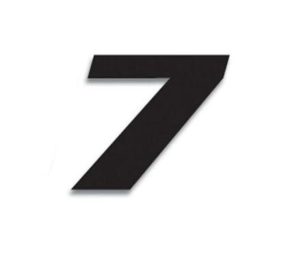 Numéro de course 7 BLACKBIRD 20x25cm