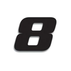 Numéro de course 8 BLACKBIRD 20x25cm