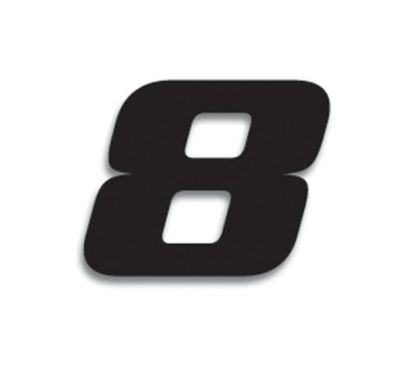 Numéro de course 8 BLACKBIRD 20x25cm