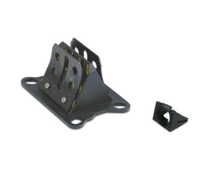 Clapets carbone MALOSSI