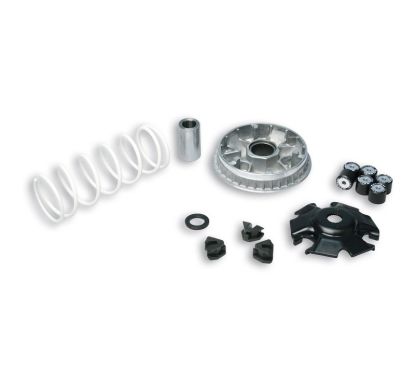 Variateur MALOSSI Multivar 2000