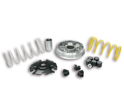 Variateur MALOSSI Multivar 2000