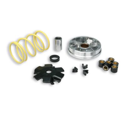 Variateur MALOSSI Multivar