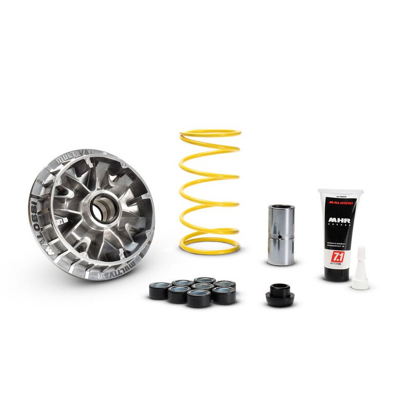 Variateur MALOSSI Multivar 2000