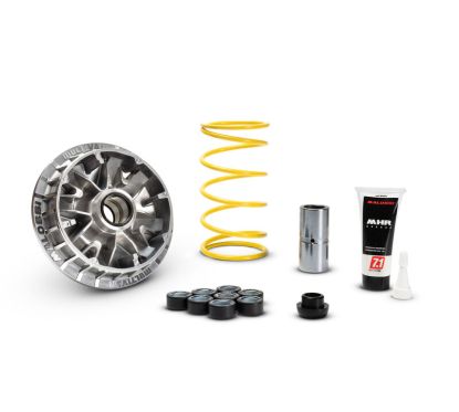 Variateur MALOSSI Multivar 2000