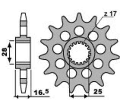 Pignon PBR acier standard - 525