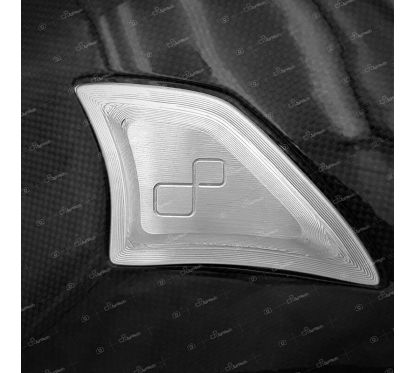 Slider alu pour protection de bras oscillant LIGHTECH carbone