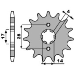 Pignon PBR acier standard - 428