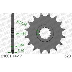 Pignon AFAM acier standard - 520