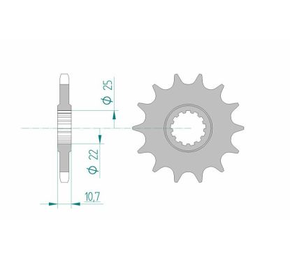 Pignon AFAM acier standard - 525